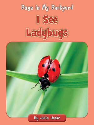 cover image of I See Ladybugs